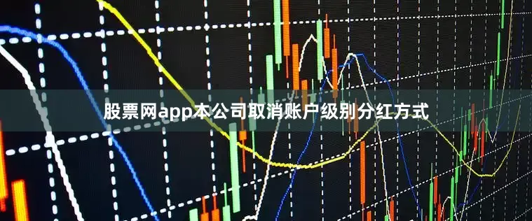 股票网app本公司取消账户级别分红方式