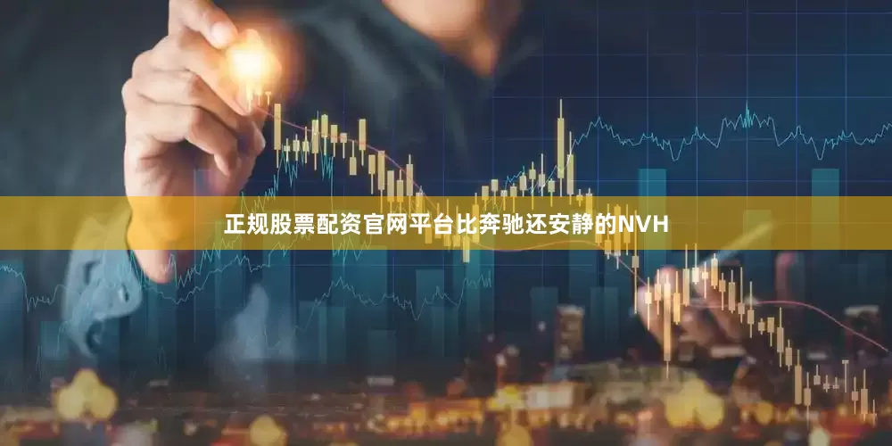 正规股票配资官网平台比奔驰还安静的NVH
